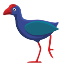 Kaeo School logo