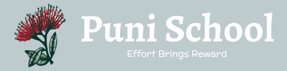 Puni School logo