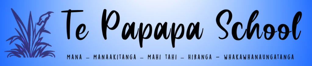 Te Papapa School logo