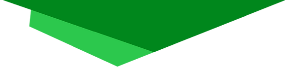 Ross Intermediate logo