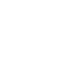 Fergusson Intermediate (Trentham) logo