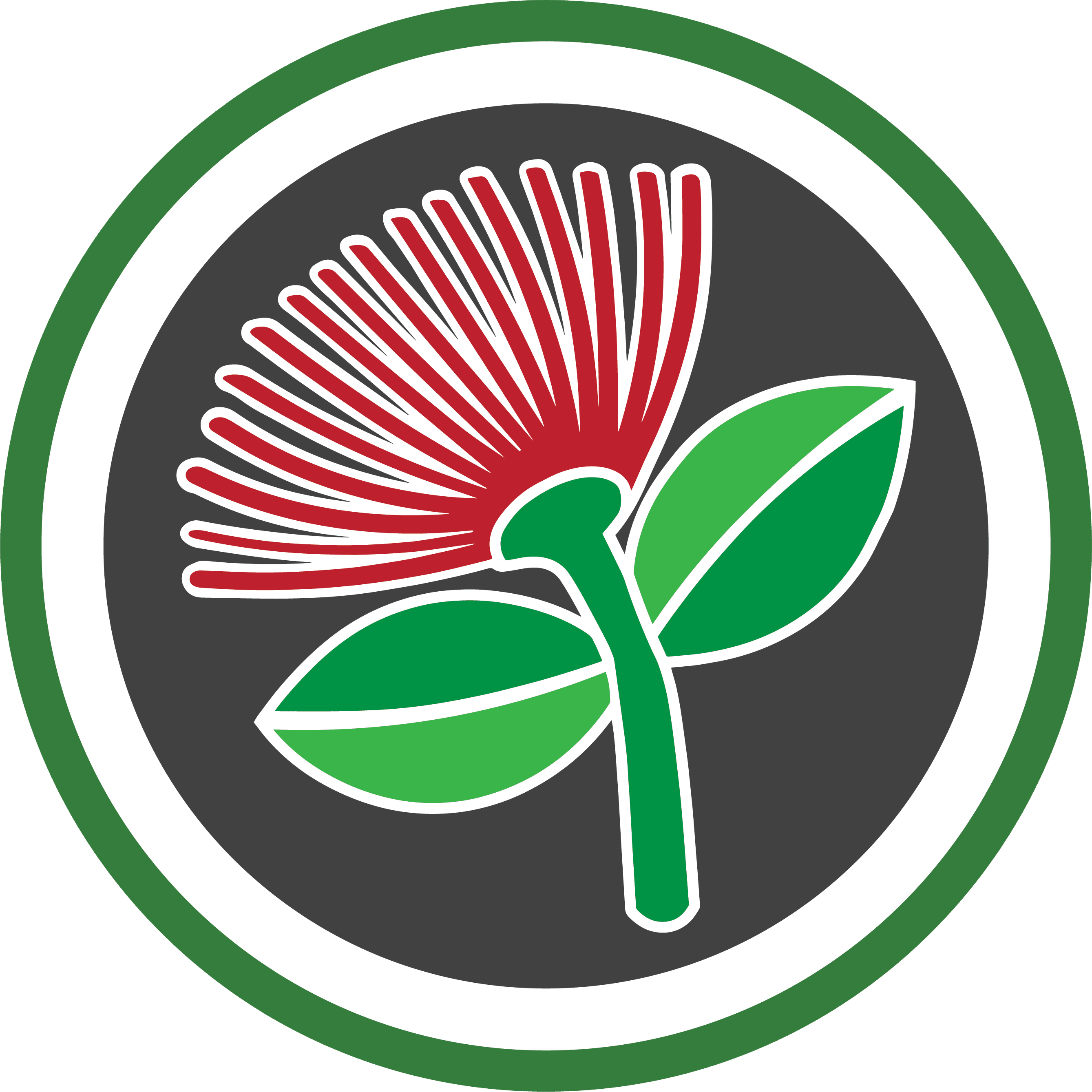 Raroa Normal Intermediate logo
