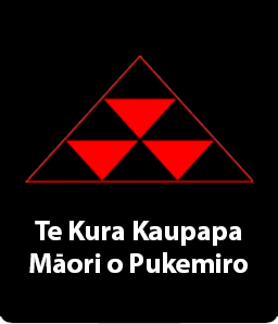 TKKM o Pukemiro logo
