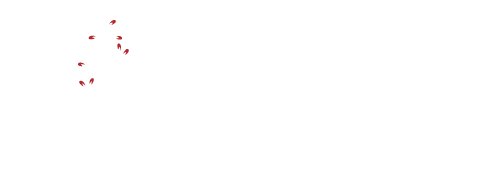 Albany Junior High School logo